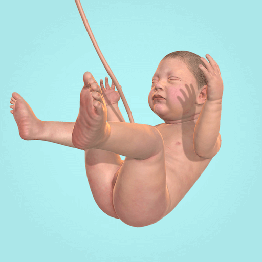 Idle 9 Months v1.41.1 MOD APK (Unlimited Cell, Nutrition) Download