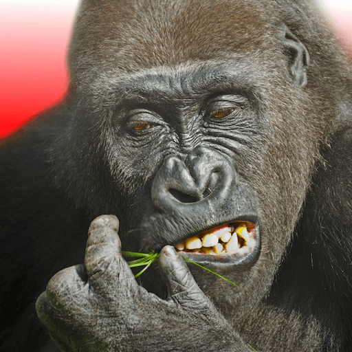 Flying Gorilla v4.7.4 MOD APK (Free Rewards) Download