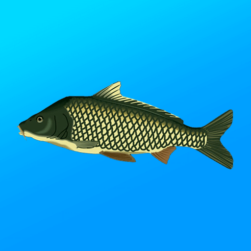 True Fishing v1.17.1.856 MOD APK (Unlimited Money) Download