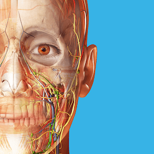 Human Anatomy Atlas 2024 v2026.00.019 MOD APK (All Unlocked) Download